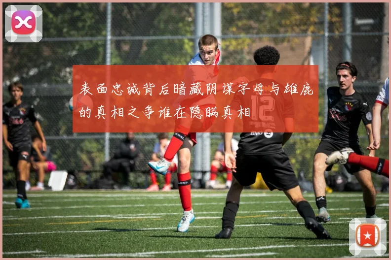 表面忠诚背后暗藏阴谋字母与雄鹿的真相之争谁在隐瞒真相